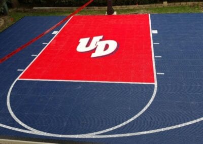backyard multi sport court