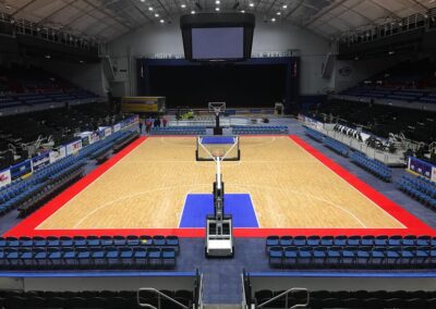basketball court for arena